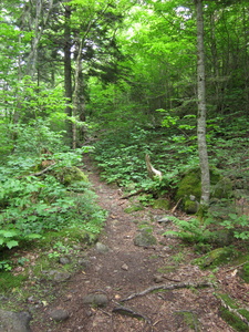 Appalachian Trail 