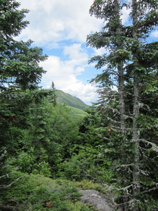 Appalachian Trail 