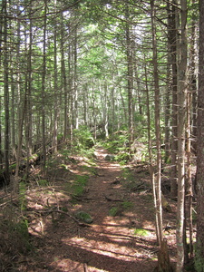 Appalachian Trail 