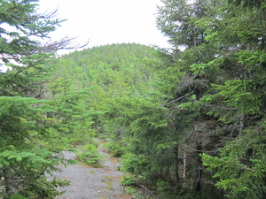 Appalachian Trail 