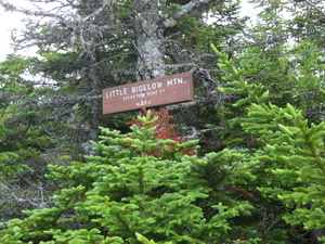 Appalachian Trail Little Bigelow Mountain