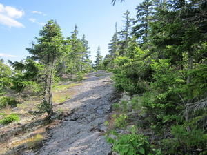 Appalachian Trail 