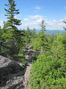 Appalachian Trail 