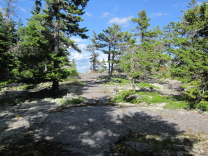 Appalachian Trail 