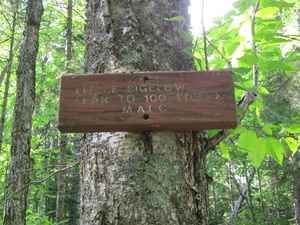 Appalachian Trail Little Bigelow Lean-to sign