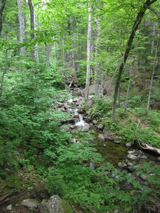 Appalachian Trail 