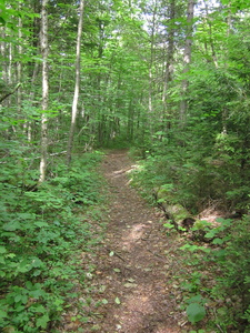 Appalachian Trail 