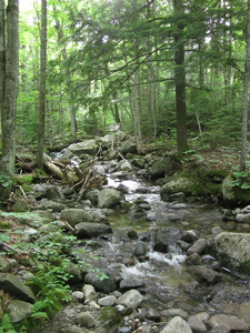 Appalachian Trail 