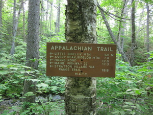 Appalachian Trail Near East Flagstaff Road