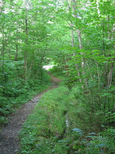 Appalachian Trail 