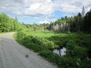 Appalachian Trail East Flagstaff Road near AT