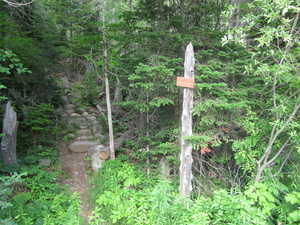 Appalachian Trail AT headding north from East Flagstaff Road 