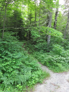 Appalachian Trail 