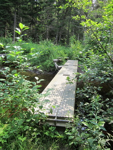 Appalachian Trail 