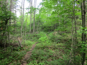 Appalachian Trail 