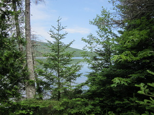 Appalachian Trail Flagstaff Lake