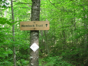 Appalachian Trail Cross the Hemlock Trail