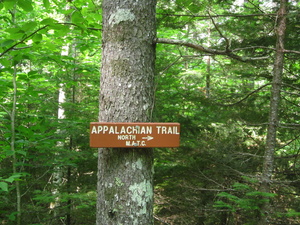 Appalachian Trail Cross the Hemlock Trai