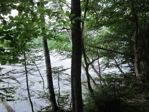 Appalachian Trail Flagstaff Lake