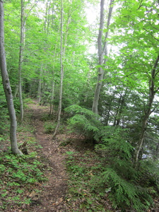 Appalachian Trail Flagstaff Lake