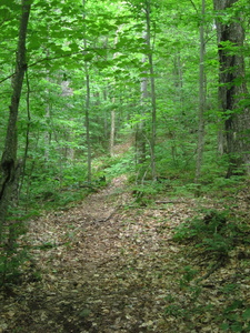 Appalachian Trail 