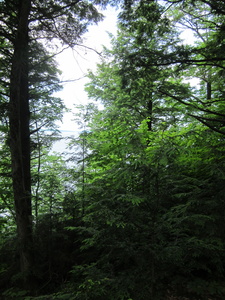 Appalachian Trail 