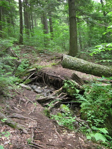 Appalachian Trail 