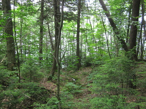 Appalachian Trail 