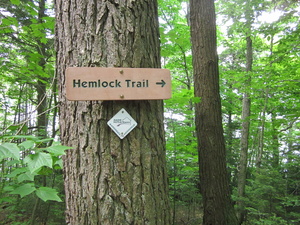 Appalachian Trail Cross the Hemlock Trail