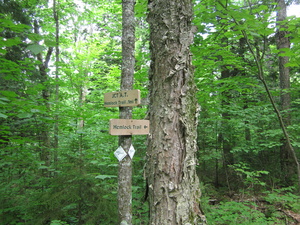 Appalachian Trail Cross the Hemlock Trail