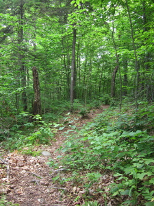 Appalachian Trail 