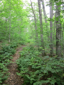 Appalachian Trail 