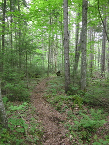 Appalachian Trail 