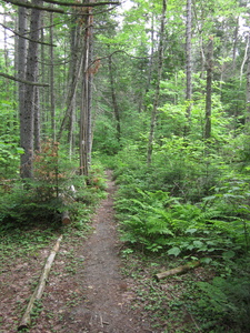 Appalachian Trail 