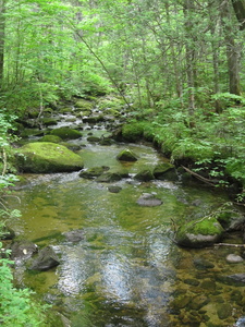 Appalachian Trail 