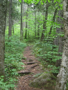 Appalachian Trail 