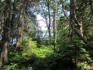 Appalachian Trail 