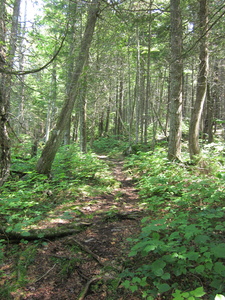 Appalachian Trail 