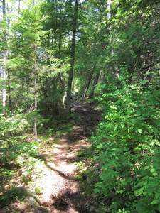 Appalachian Trail 