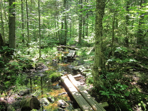 Appalachian Trail 