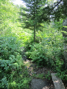 Appalachian Trail 