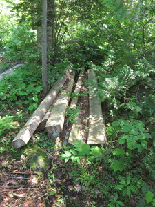 Appalachian Trail Lumber in woods for bog bridges.