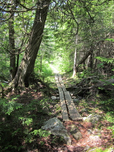 Appalachian Trail 