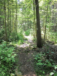 Appalachian Trail 