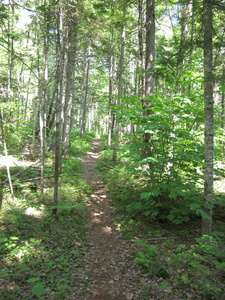 Appalachian Trail 