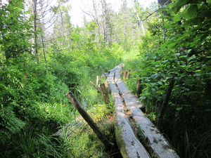 Appalachian Trail 