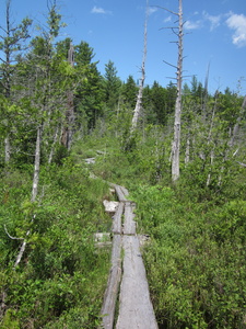 Appalachian Trail 