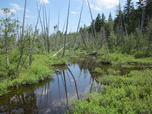 Appalachian Trail 