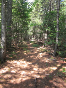 Appalachian Trail 