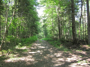 Appalachian Trail 